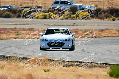 media/Nov-16-2024-Extreme Speed (Sat) [[6587d07cc4]]/Gold Group/Session 2 (Turns 3 and 5)/